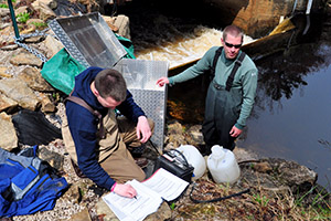 worker using pheromone pump in field